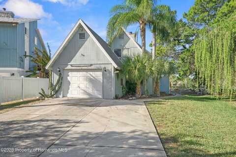 Pine Dale, HERNANDO BEACH, FL 34607