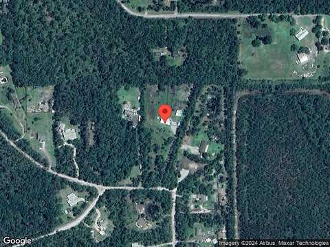 Conifer, ORMOND BEACH, FL 32174