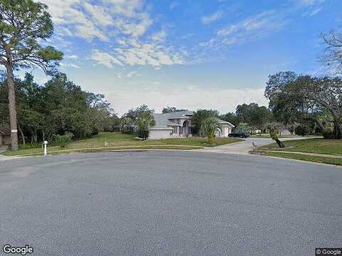 Deer Trail, HUDSON, FL 34667