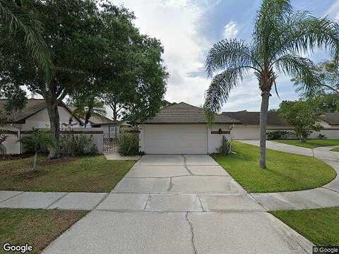 Drury, TAMPA, FL 33635