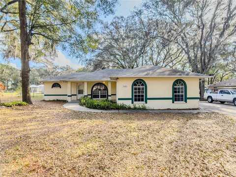 Peach, SEFFNER, FL 33584