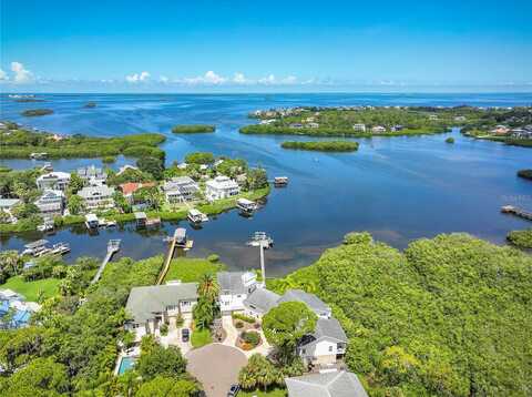 Jacqueline, PALM HARBOR, FL 34683