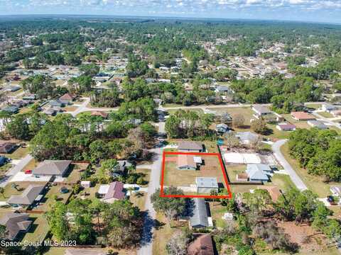 Escarole, PALM BAY, FL 32909
