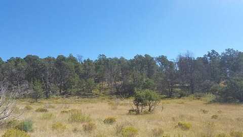 Pinon Ridge Rd, Ruidoso Downs, NM 88346