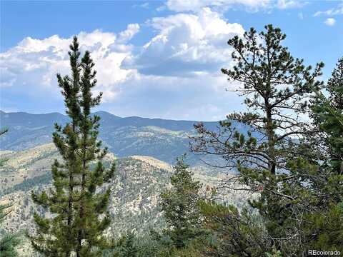 Saddleback Drive, Evergreen, CO 80439