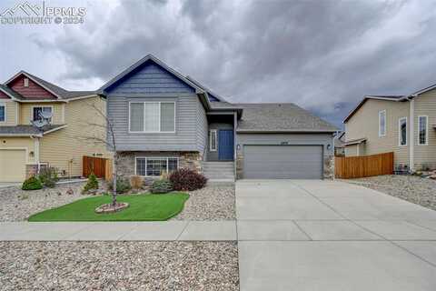 Red Cardinal, COLORADO SPRINGS, CO 80908