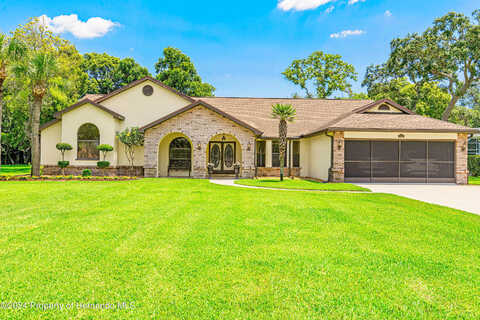 Rachel, SPRING HILL, FL 34607