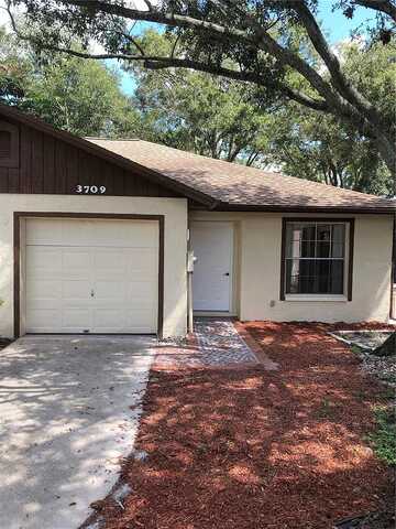 Simpson, PALM HARBOR, FL 34684