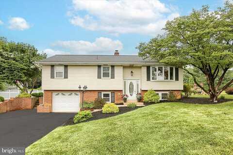 Rhoda, MOUNT JOY, PA 17552