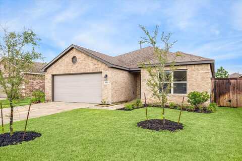 Willow Tree, NEW CANEY, TX 77357