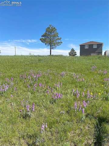 Hodgen, ELBERT, CO 80106