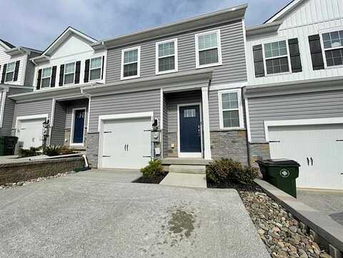 Turnstone, FOGELSVILLE, PA 18051