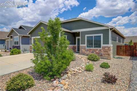 Watusi, PEYTON, CO 80831