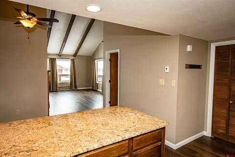 Davis Cup, PAGOSA SPRINGS, CO 81147