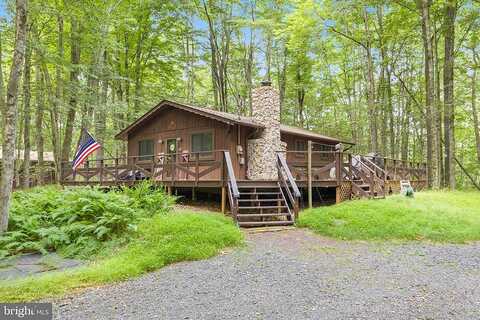 Stag, POCONO LAKE, PA 18347