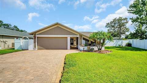 Lily, TARPON SPRINGS, FL 34689