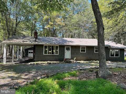 Beech, POCONO LAKE, PA 18347