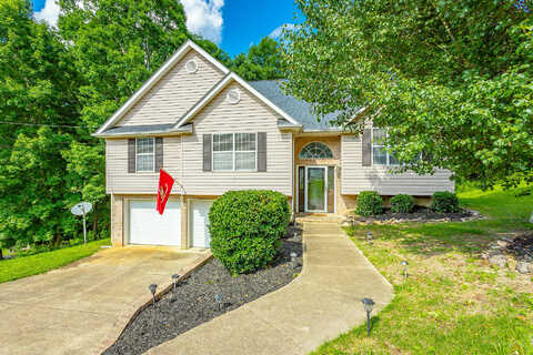 Middle View, RINGGOLD, GA 30736