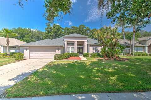 Willow Ridge, VALRICO, FL 33596