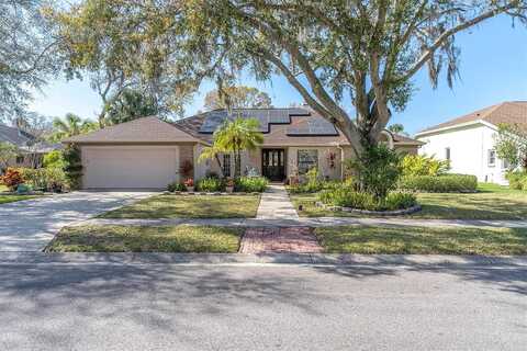 Berisford, PALM HARBOR, FL 34685