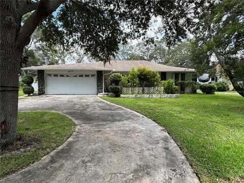 Wayfarer, TARPON SPRINGS, FL 34689