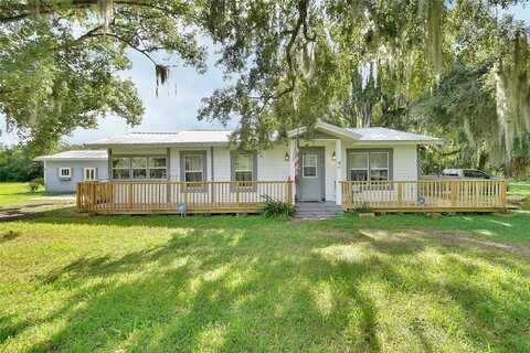 Pine, PIERSON, FL 32180