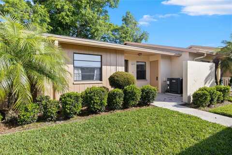 Boxwood, ZEPHYRHILLS, FL 33542