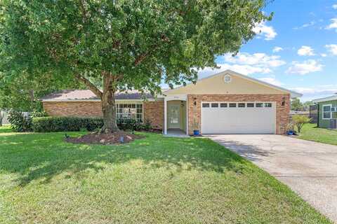 Laurel, MOUNT DORA, FL 32757