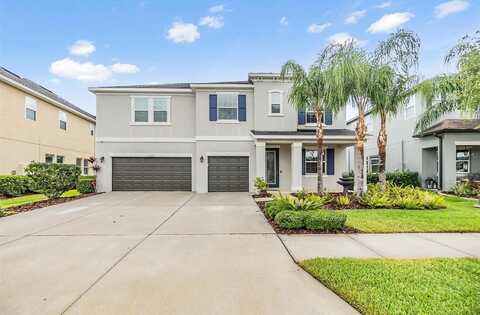 Azalea Ridge, WESLEY CHAPEL, FL 33545