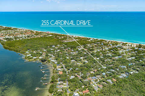 Cardinal, MELBOURNE BEACH, FL 32951