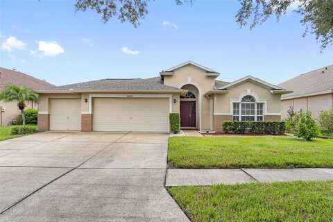 Collridge, TAMPA, FL 33647