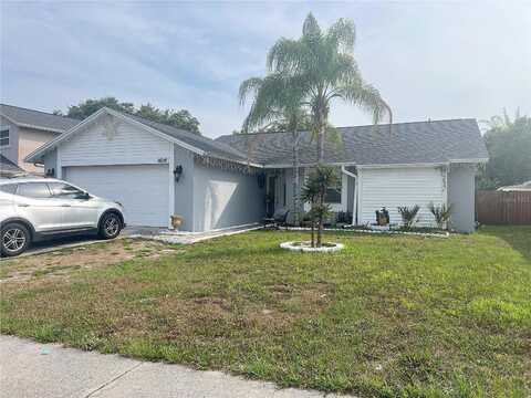 Ravendale, TAMPA, FL 33618