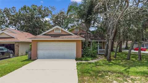 Pine, APOPKA, FL 32703