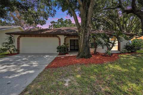 Wicklow, PALM HARBOR, FL 34684