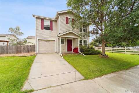 Butte, LONGMONT, CO 80504