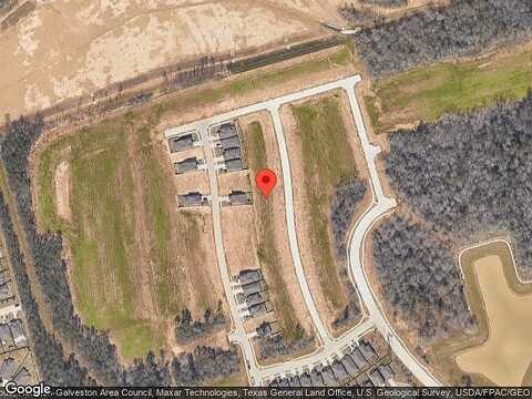 Scarlet Yaupon, CONROE, TX 77301