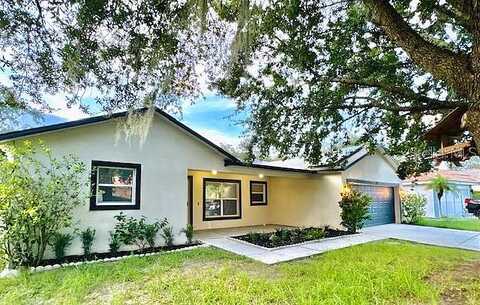 Anise, KISSIMMEE, FL 34759