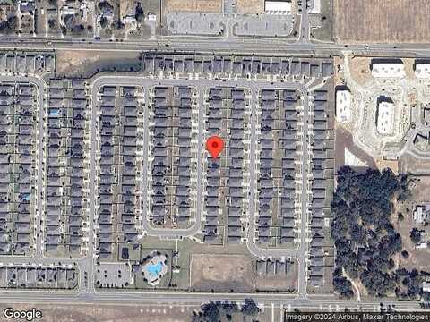 Lycaste, DAVENPORT, FL 33837