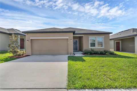 Lycaste, DAVENPORT, FL 33837