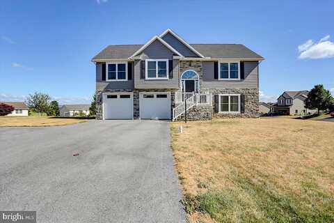 Raven, SHIPPENSBURG, PA 17257