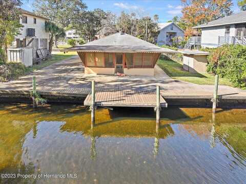 Tropical, WEEKI WACHEE, FL 34607