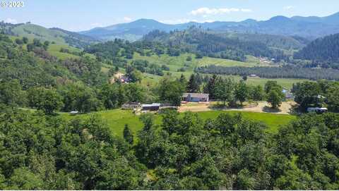 Cattle, ROSEBURG, OR 97470