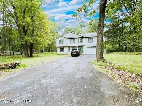 Colt, POCONO SUMMIT, PA 18346