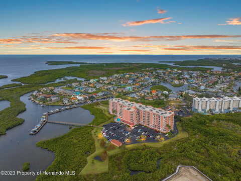 Seagull, NEW PORT RICHEY, FL 34652