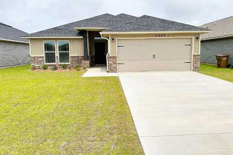 Privet Berry, GULF BREEZE, FL 32563