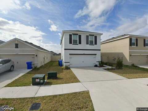 Blister Wing, WIMAUMA, FL 33598