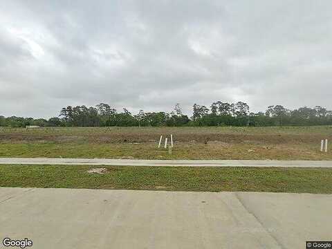 Leslies, DICKINSON, TX 77539
