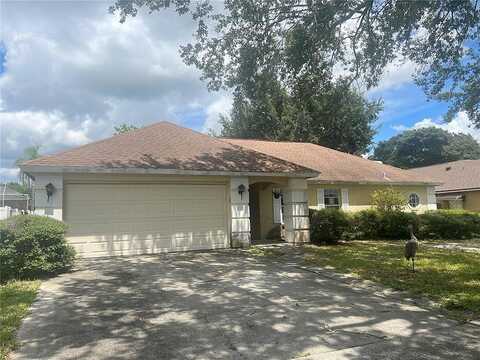 Midoneck, VALRICO, FL 33596