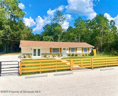 Treiman, WEBSTER, FL 33597