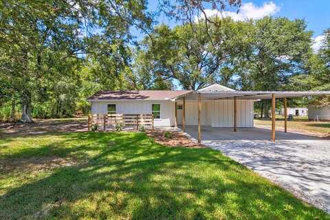 Chinese Elm, VIDOR, TX 77662